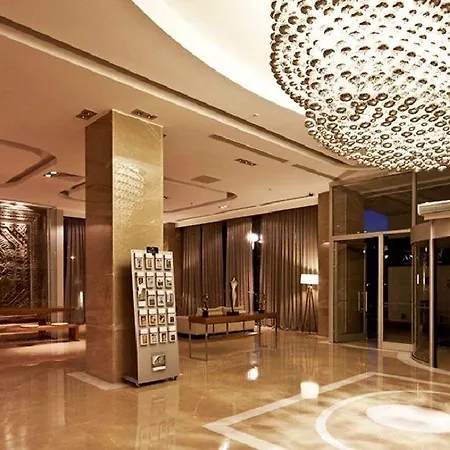 Hotel Anemon Grand