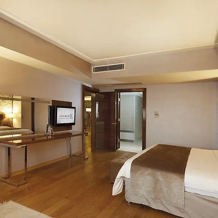 Otel Anemon