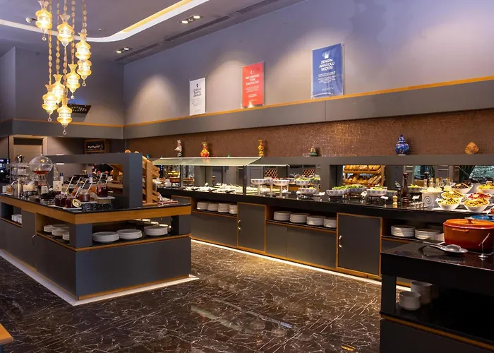 Hotel Anemon Grand 5*