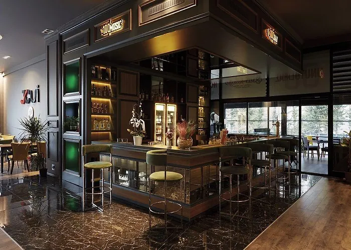 Anemon Grand Hotel Konya